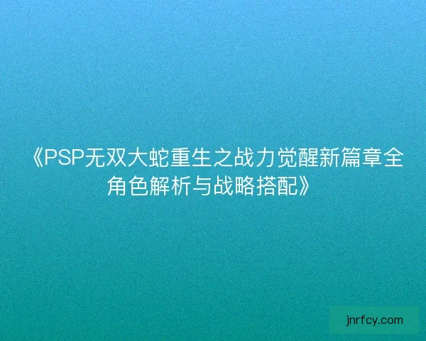 《PSP无双大蛇重生之战力觉醒新篇章全角色解析与战略搭配》